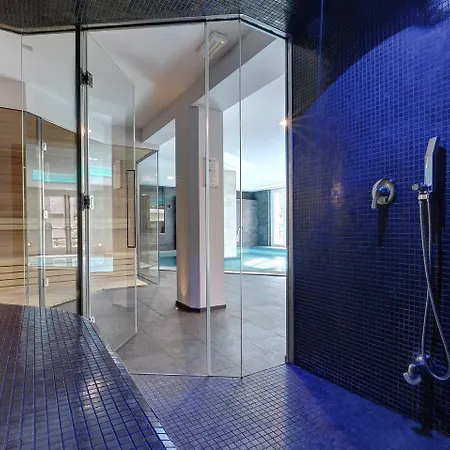 Grand Des Alpes Hotel 5*
