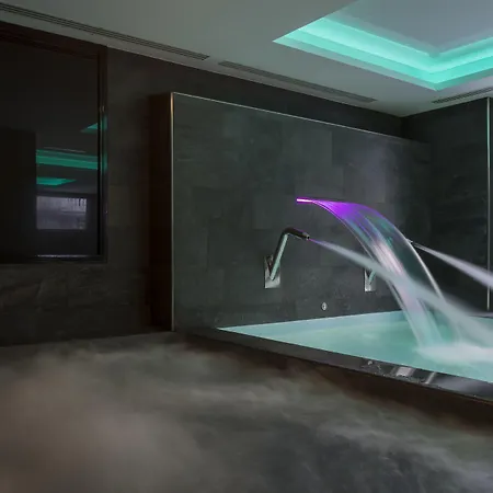 Grand Des Alpes Hotel 5*