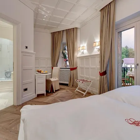 Отель Grand Des Alpes