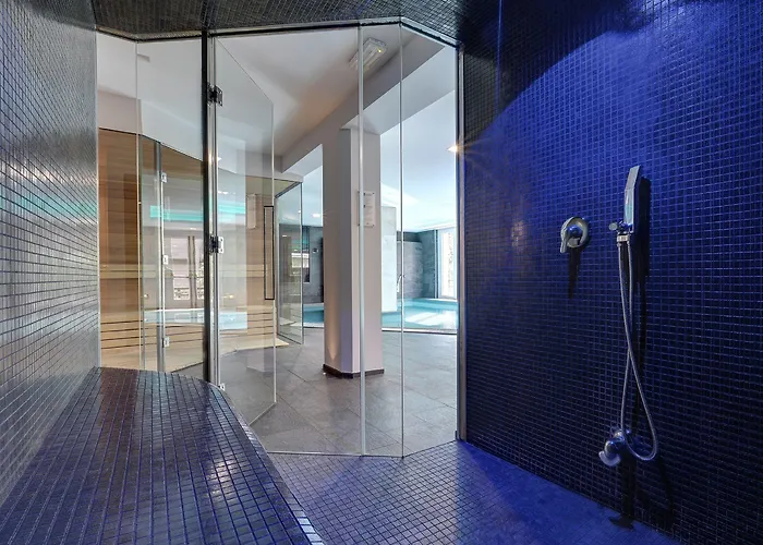 Grand Des Alpes Hotel 5*